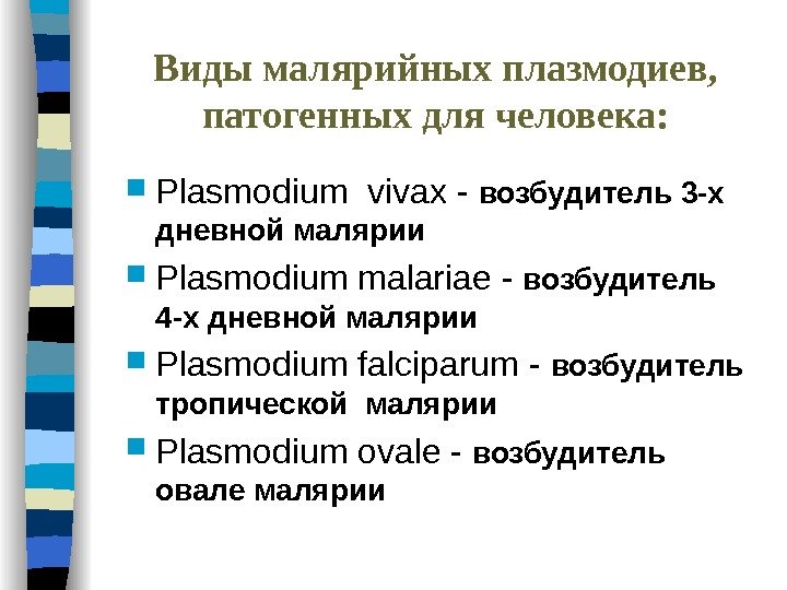 Виды малярийных плазмодиев,  патогенных для человека:  Plasmodium vivax - возбудитель 3 -х